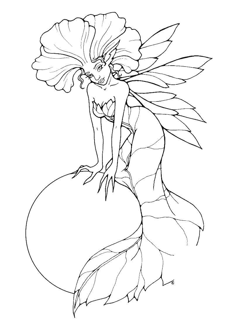 Coloring Fairy plants. Category fairy. Tags:  fairy, plants.