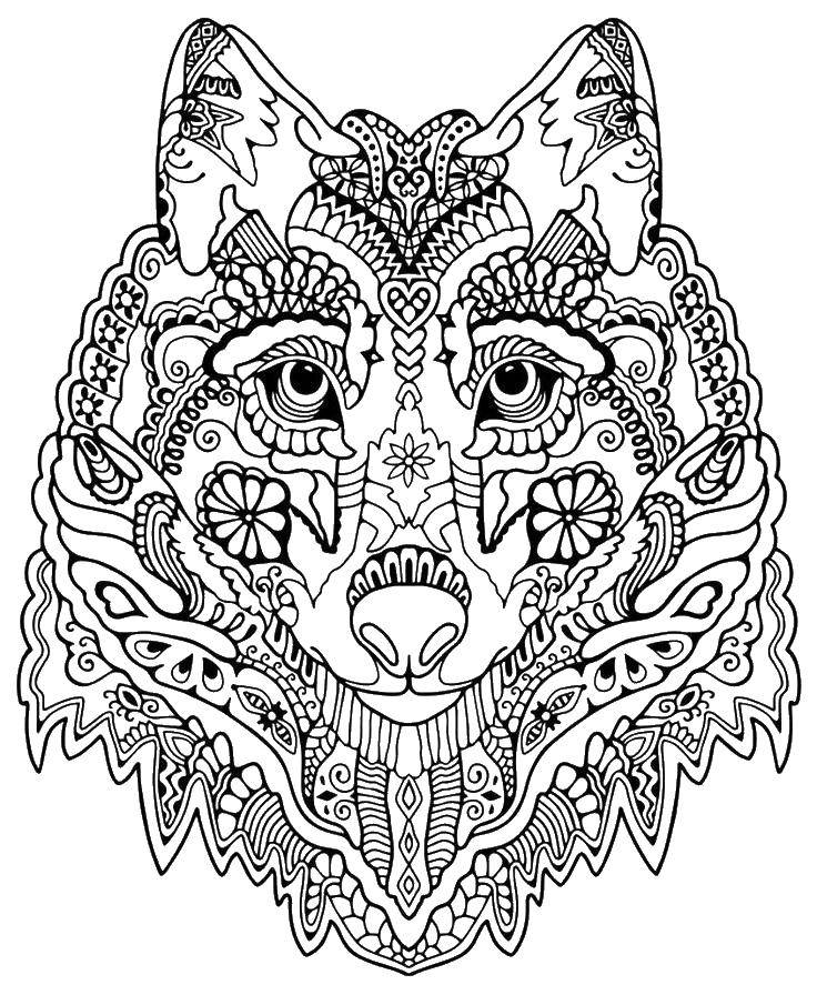 Название: Раскраска Голова волка в узорах. Категория: раскраски антистресс. Теги: голова, волк, узоры.