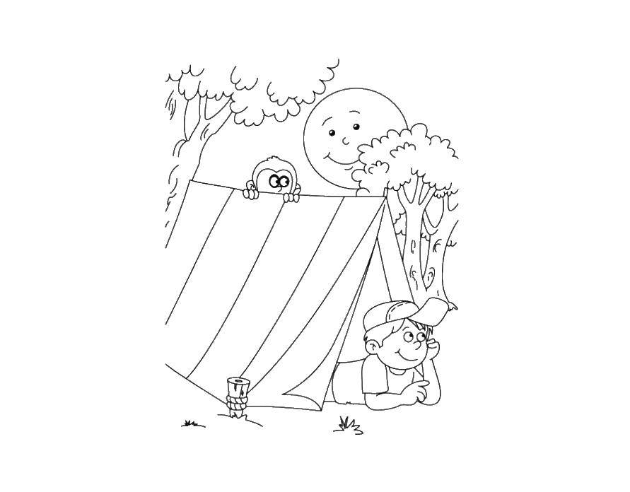 Название: Раскраска Мальчик в палатке. Категория: отдых. Теги: отдых, дети, лес, природа, мальчик.