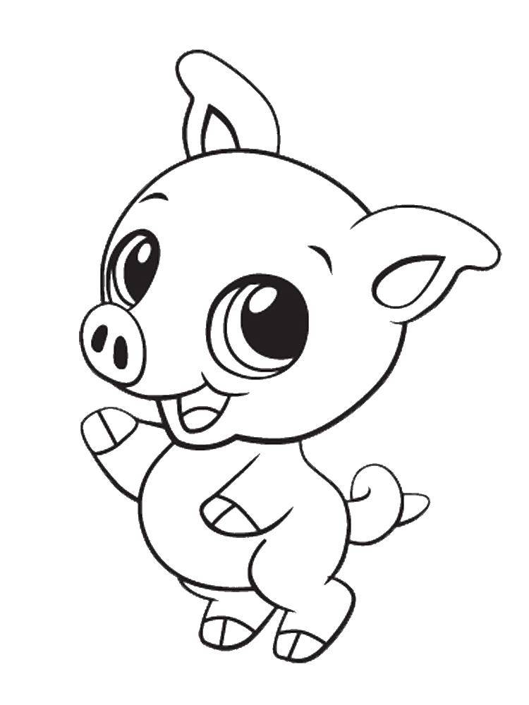 Coloring Small pig.. Category animals cubs . Tags:  Animals, pig.