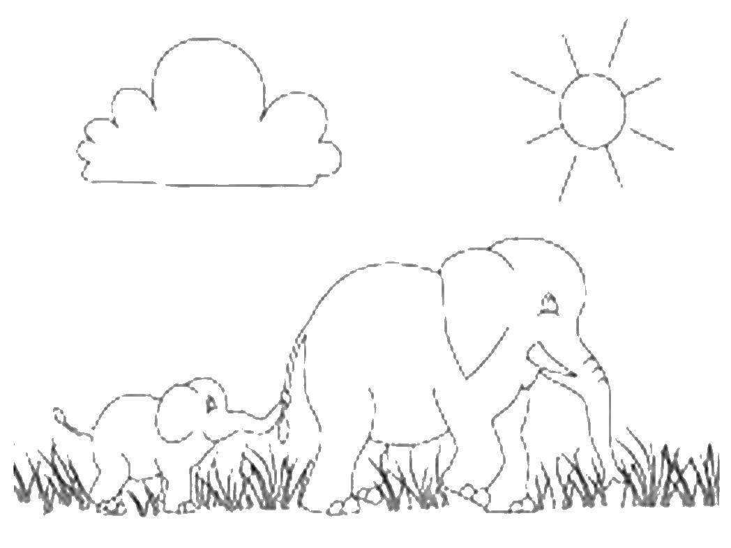 Название: Раскраска Мама слон и слоненок. Категория: Животные. Теги: Слон, животные.
