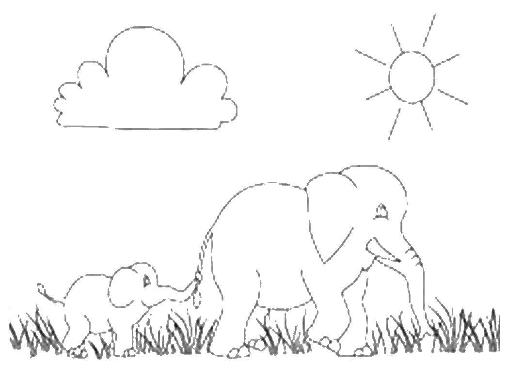 Раскраски Раскраска Мама слон и слоненок Животные, Раскраски телефон.
