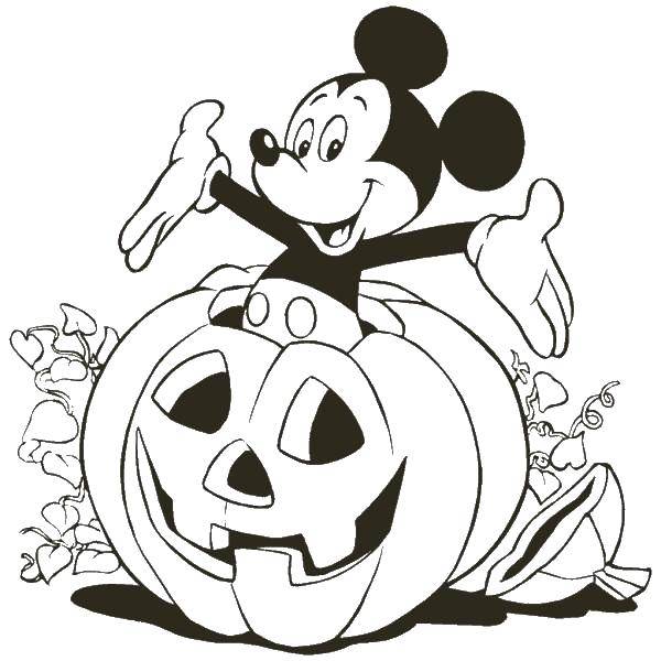 Coloring Mickey mouse in the pumpkin. Category Halloween. Tags:  Halloween, pumpkin, Mickey, mouse.