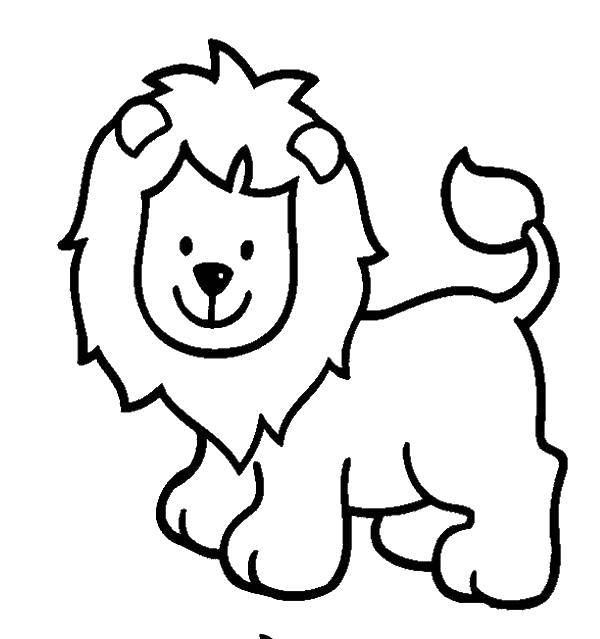 Coloring Cute lion cub. Category animals cubs . Tags:  Animals, lion.