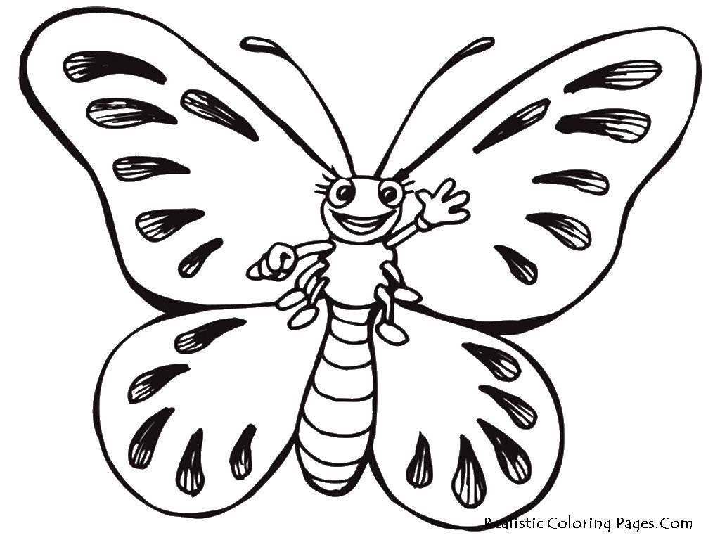 Название: Раскраска Милая бабочка с красивыми крылышками. Категория: Бабочка. Теги: насекомые, бабочка, крылышки.