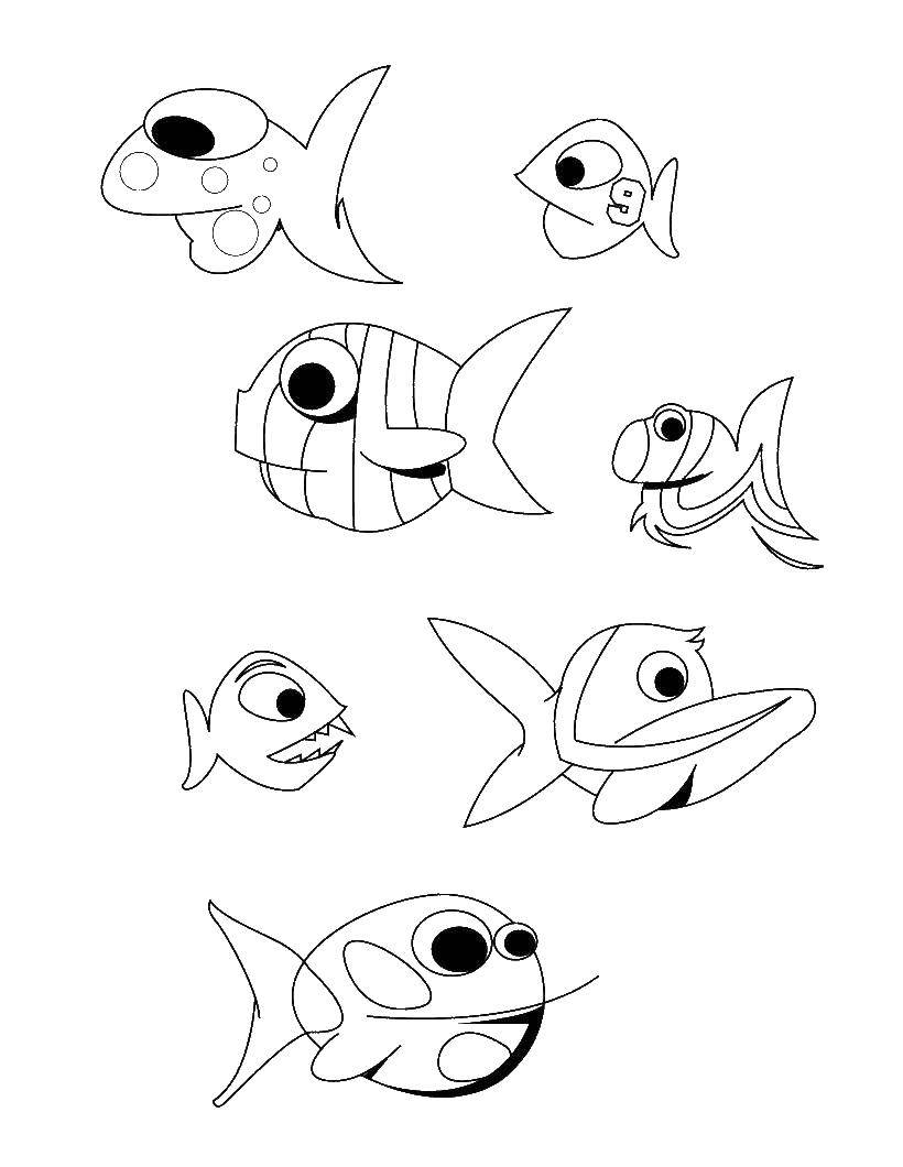Название: Раскраска Мультяшные рыбки. Категория: Рыбы. Теги: рыбы, рыбки, мультики.