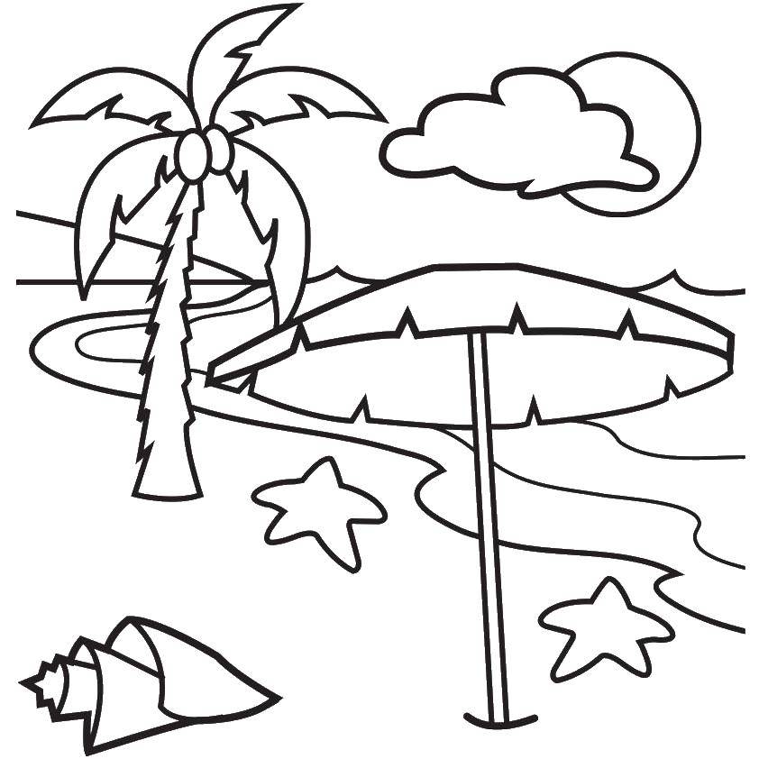 Coloring Beach with seashells and starfish. Category Summer beach. Tags:  beach, sea, sand, umbrella, shells.