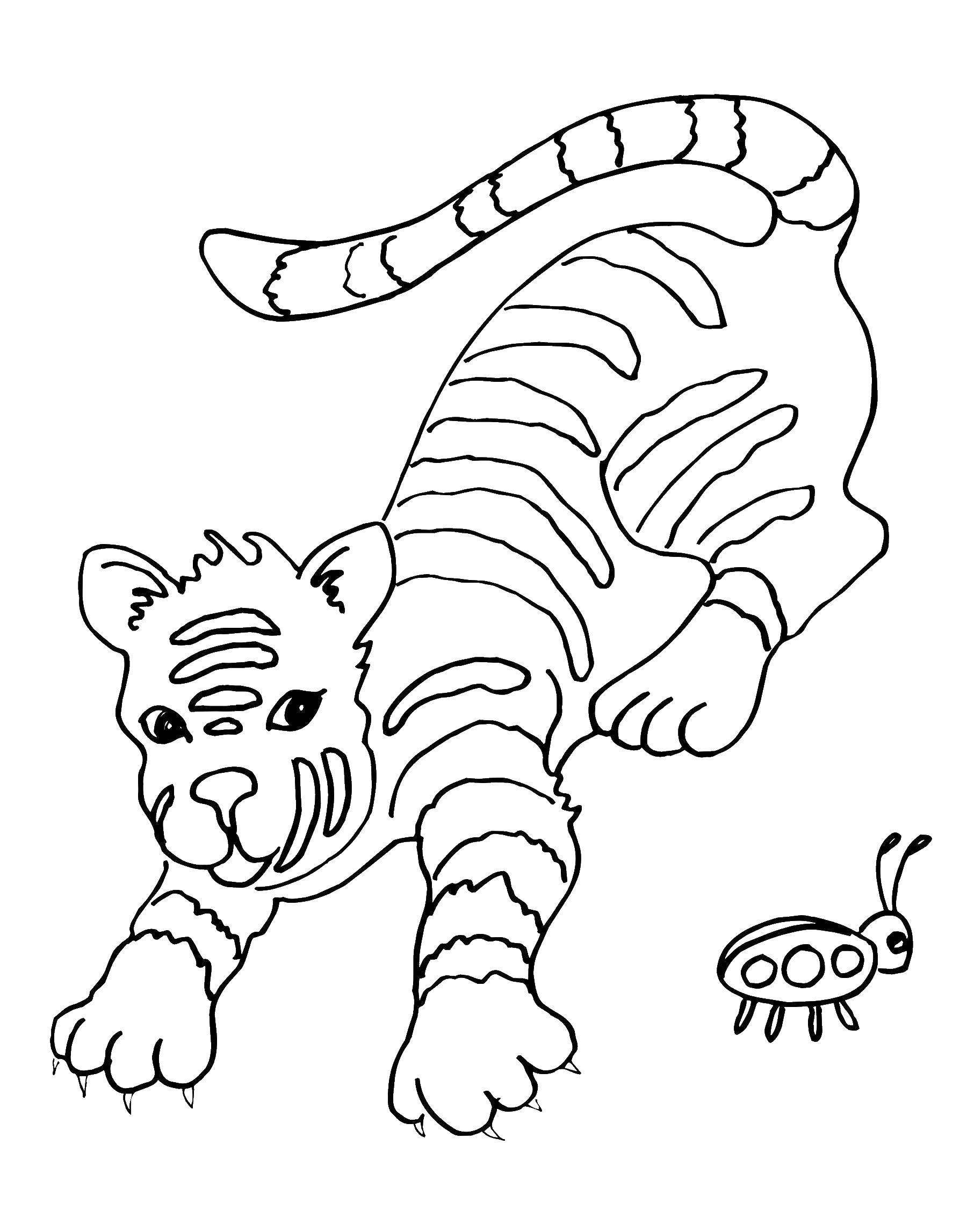 Название: Раскраска Полосатый тигр играет с божьей коровкой. Категория: Животные. Теги: полосатый тигр, .