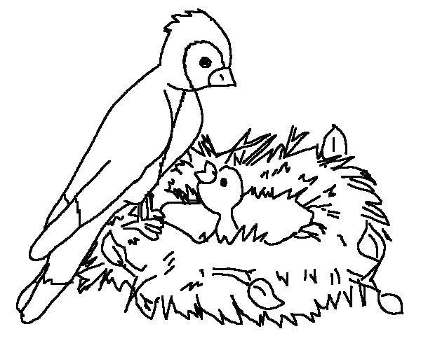 Название: Раскраска Птица с птенцом в гнезде. Категория: Птицы. Теги: птицы, гнезда, птенцы.