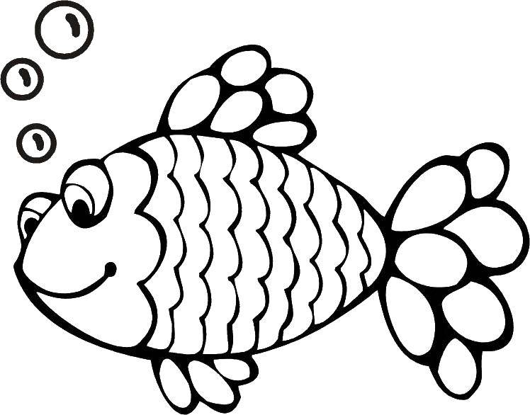 Название: Раскраска Пузырьки и рыбка. Категория: Рыбы. Теги: Подводный мир, рыба.
