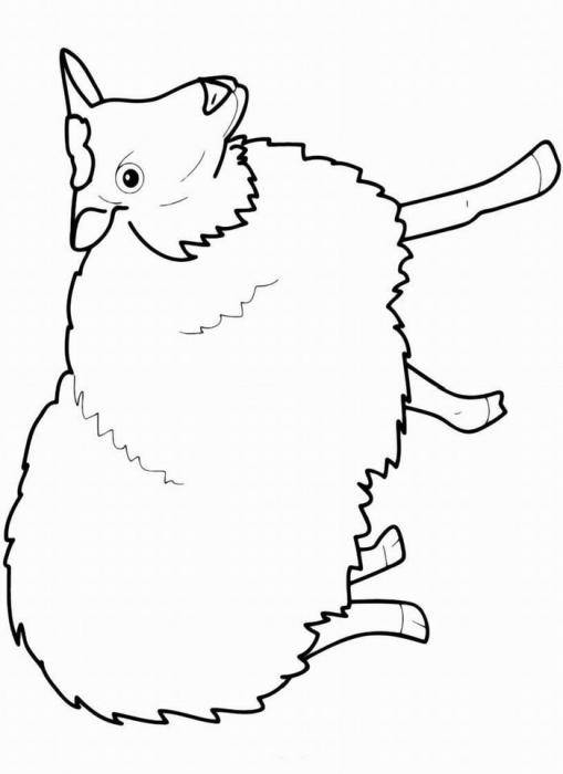 Название: Раскраска Рисунок барашка. Категория: домашние животные. Теги: баран.