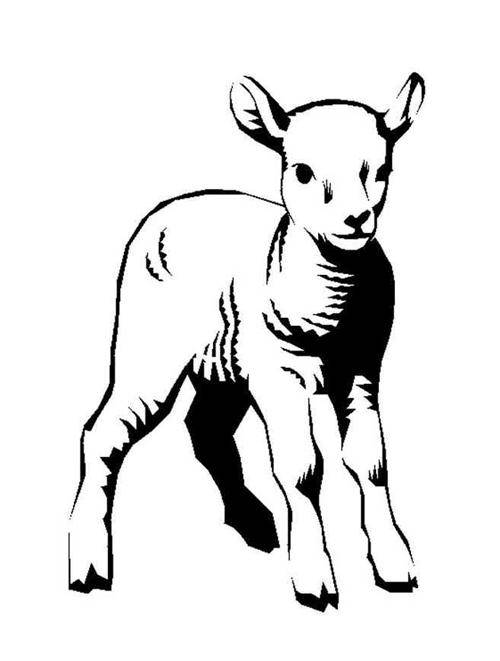 домашние животные коза и козленок
