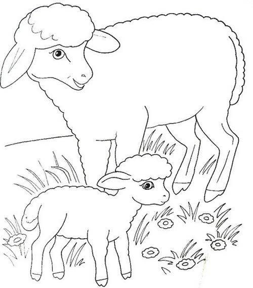Название: Раскраска Рисунок овечки с дете. Категория: домашние животные. Теги: овцы.
