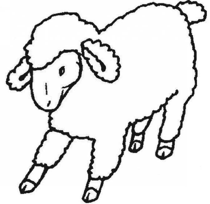 Название: Раскраска Рисунок овцы. Категория: домашние животные. Теги: овца.