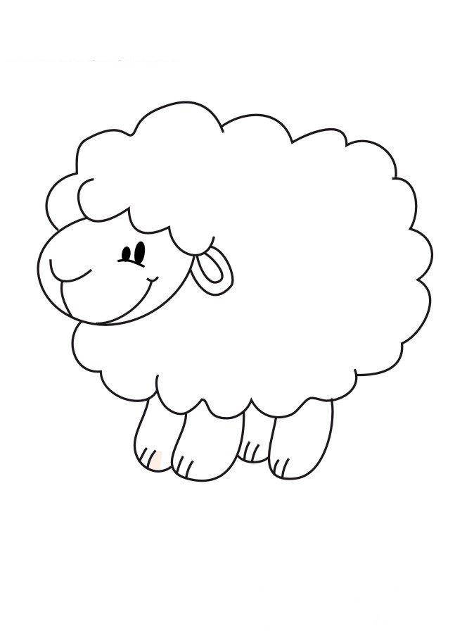 Название: Раскраска Рисунок овцы. Категория: домашние животные. Теги: барашек.