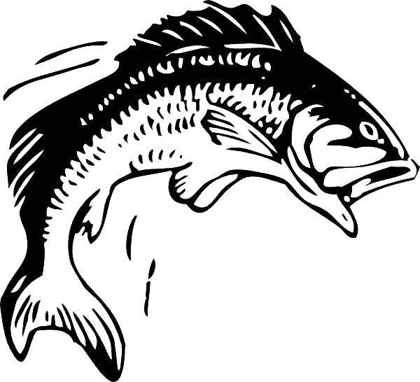 Название: Раскраска Щука с открытым ртом. Категория: Рыбы. Теги: рыбы, щука.