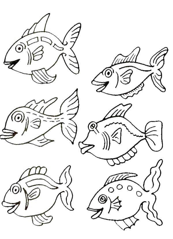 Название: Раскраска Шесть рыбок. Категория: Рыбы. Теги: рыбки, рыбы.