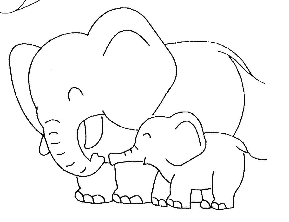 Название: Раскраска Слоник и большой слон. Категория: Животные. Теги: слон, слоненок, животные.