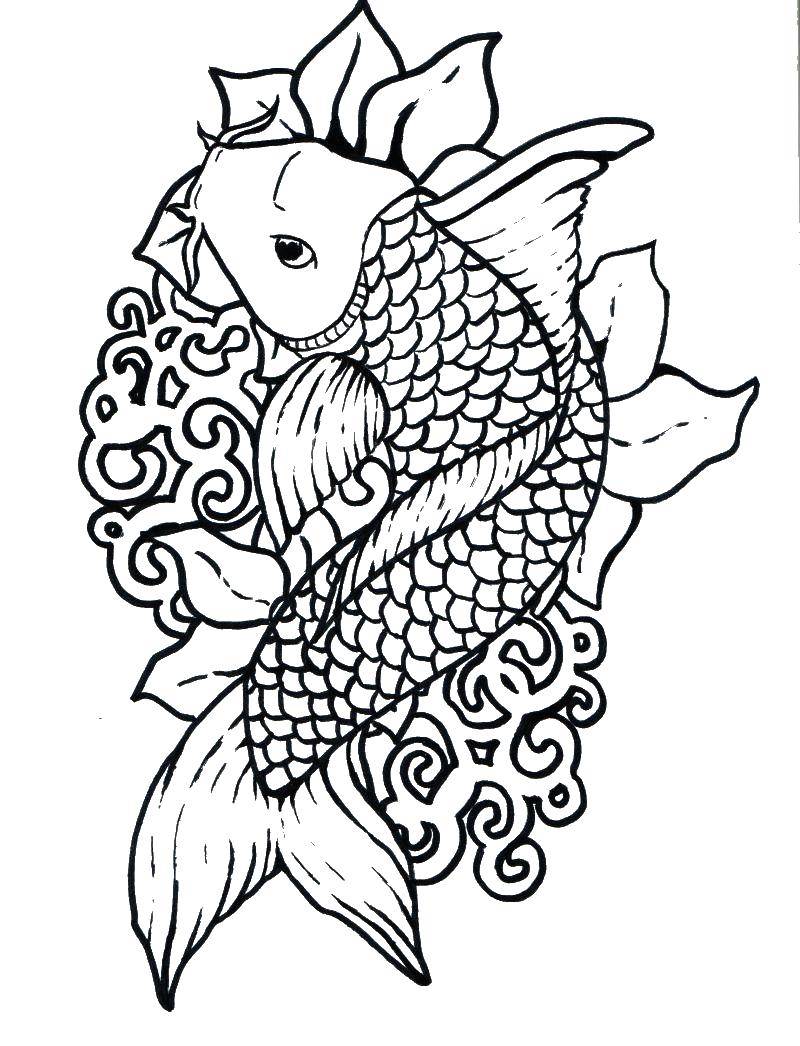 Название: Раскраска Сом с усиками.. Категория: Рыбы. Теги: Подводный мир, рыба.
