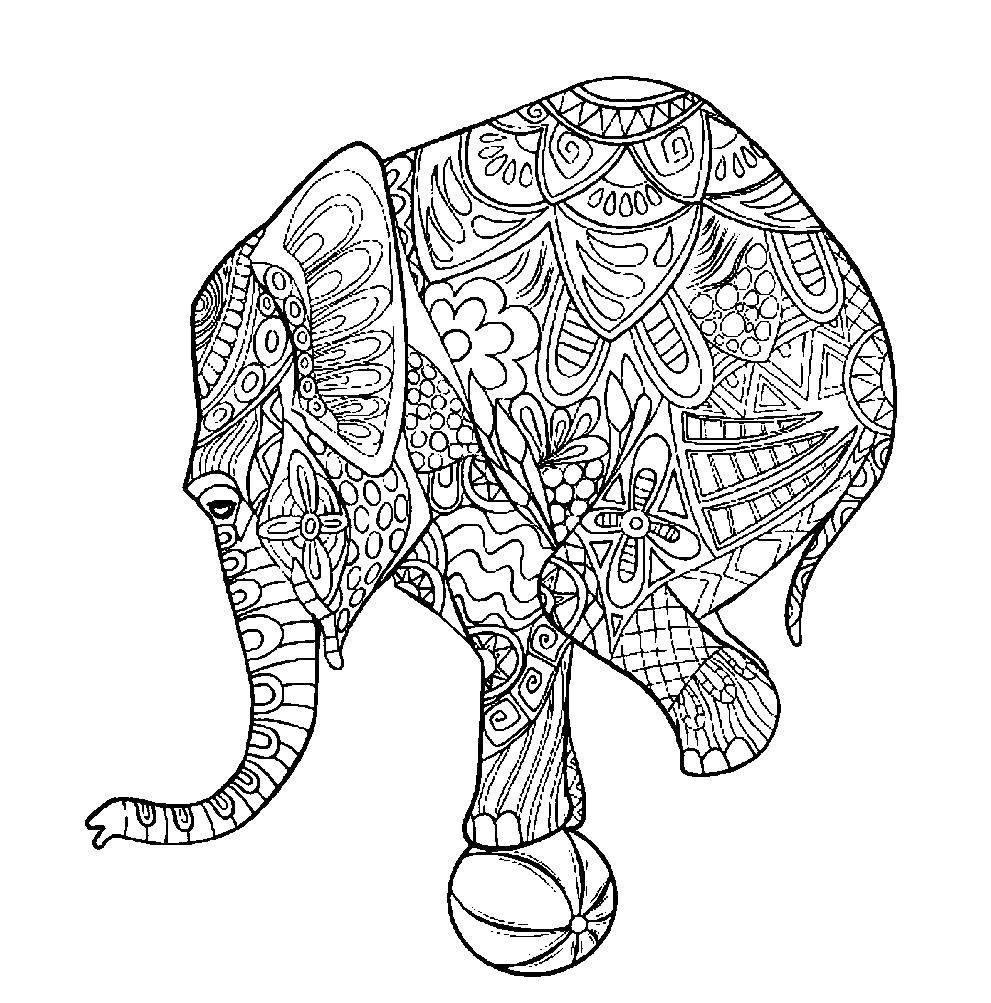 Название: Раскраска Узорчатый слон. Категория: узоры. Теги: узоры, слон, мяч.
