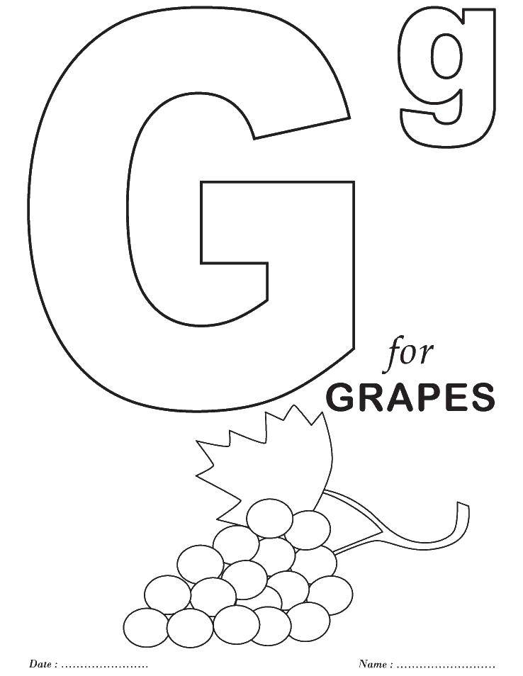 Coloring In the grapes. Category English alphabet. Tags:  The alphabet, letters, words.