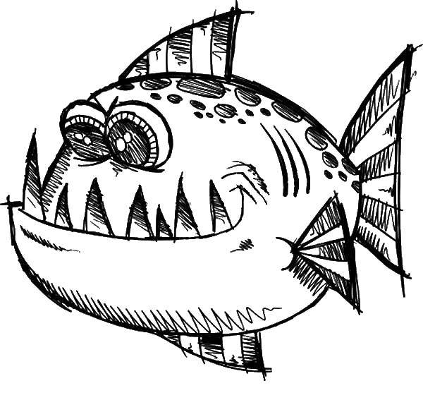 Название: Раскраска Зубастая рыба. Категория: Рыбы. Теги: Подводный мир, рыба.