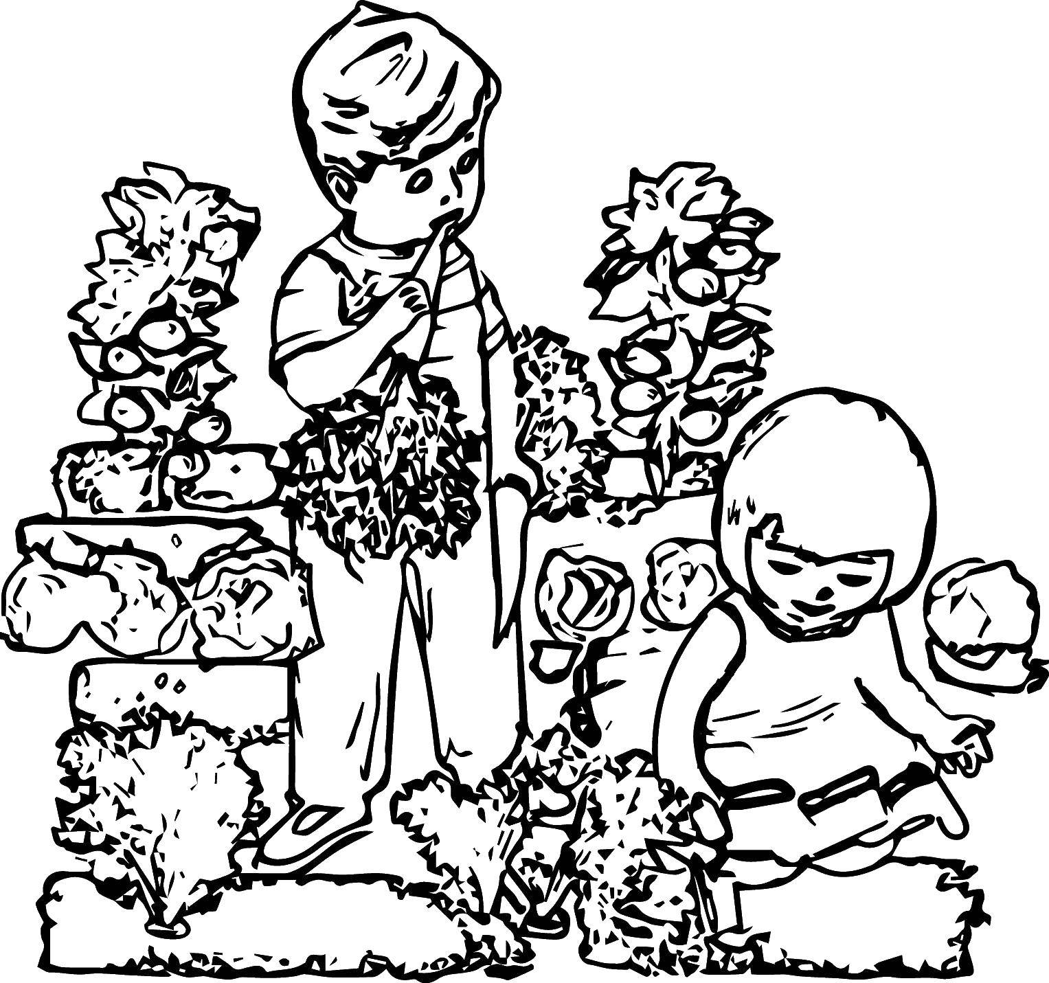 Розмальовки  Діти їдять моркву. Завантажити розмальовку діти, город.  Роздрукувати ,город,