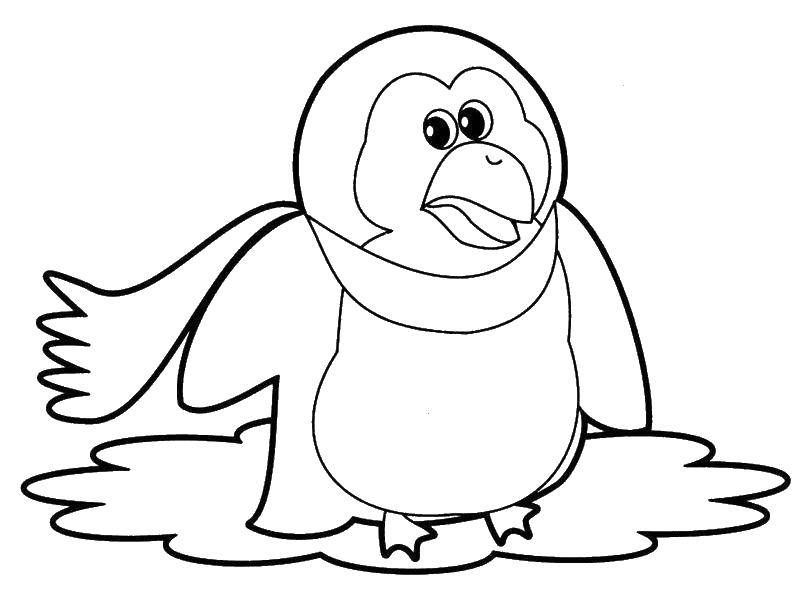 Розмальовки  Замерзлий пінгвін. Завантажити розмальовку Птиці, пінгвін.  Роздрукувати ,птахи,