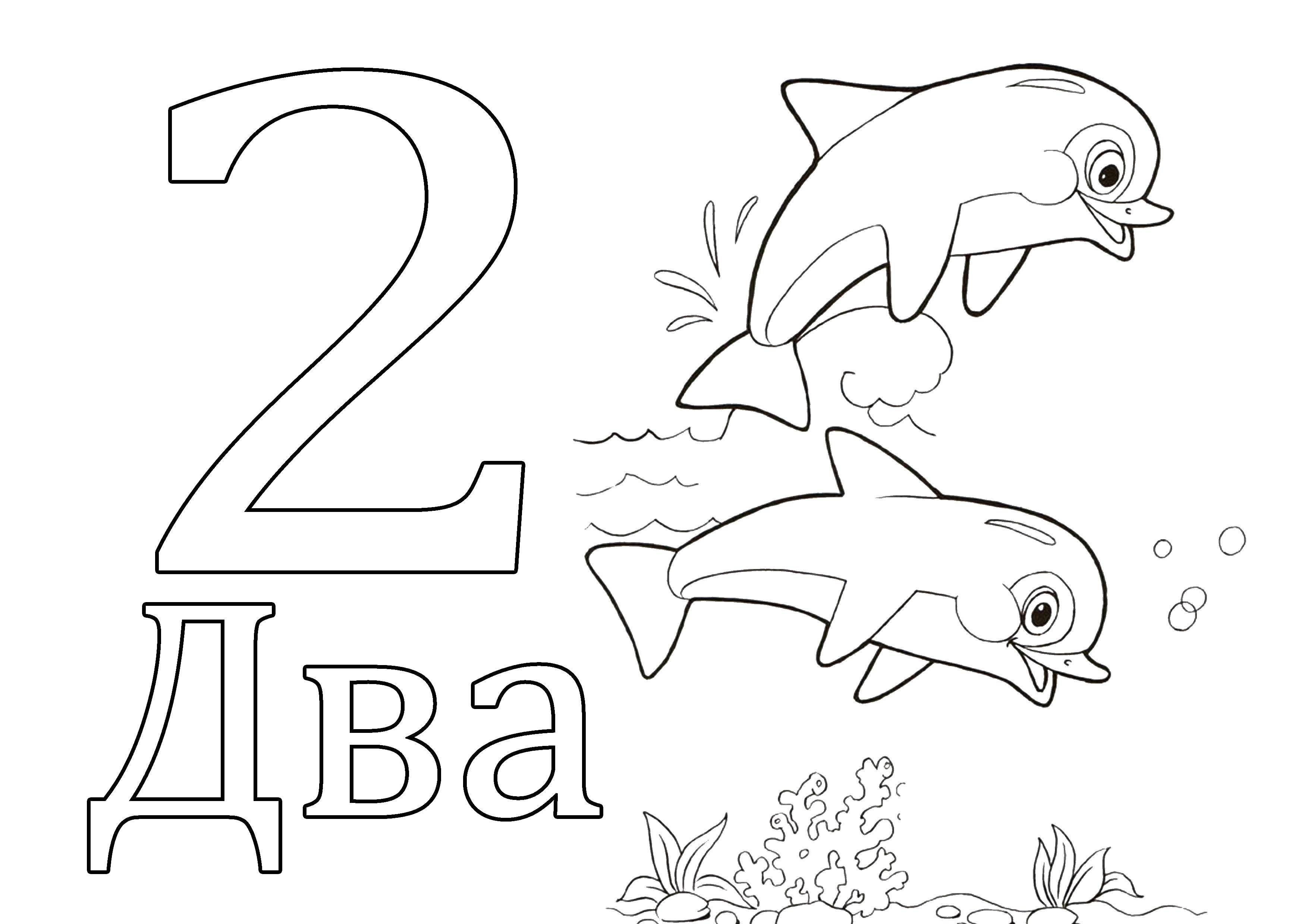 Coloring 2 dolphins. Category coloring figures. Tags:  2, two, dolphins.