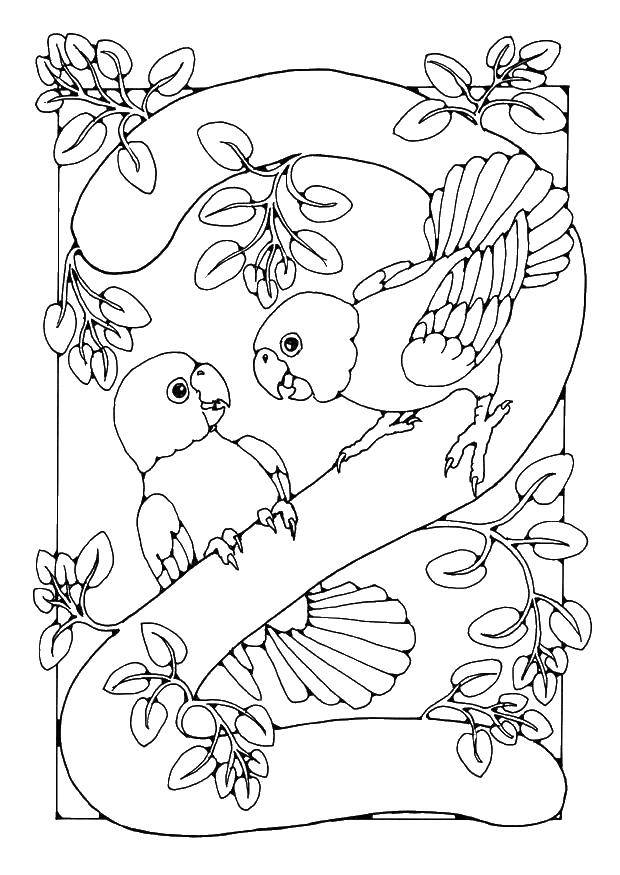 Coloring 2 birds, figure 2. Category coloring figures. Tags:  figures, birds, two.