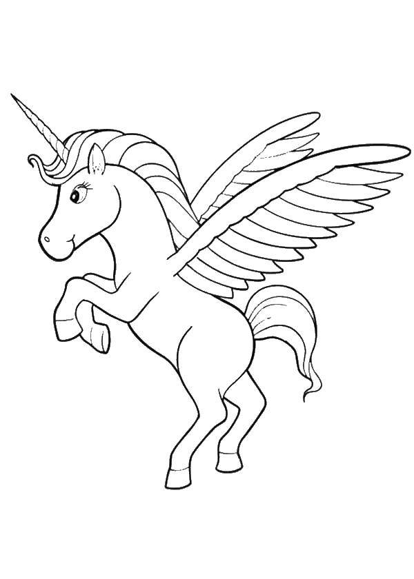 Название: Раскраска Аликорн волшебная лошадь. Категория: Волшебные создания. Теги: волшебные, создания, аликорн.