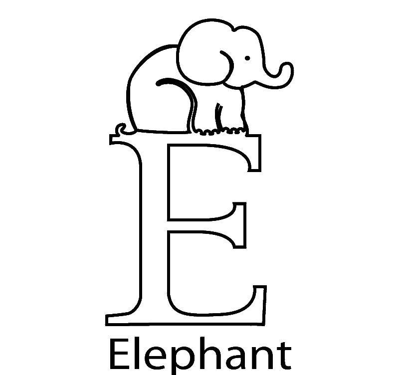 Coloring English elephant. Category English alphabet. Tags:  English, elephant.