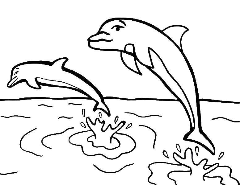 Раскраска дельфины Скачать ,Дельфины, море,.  Распечатать 