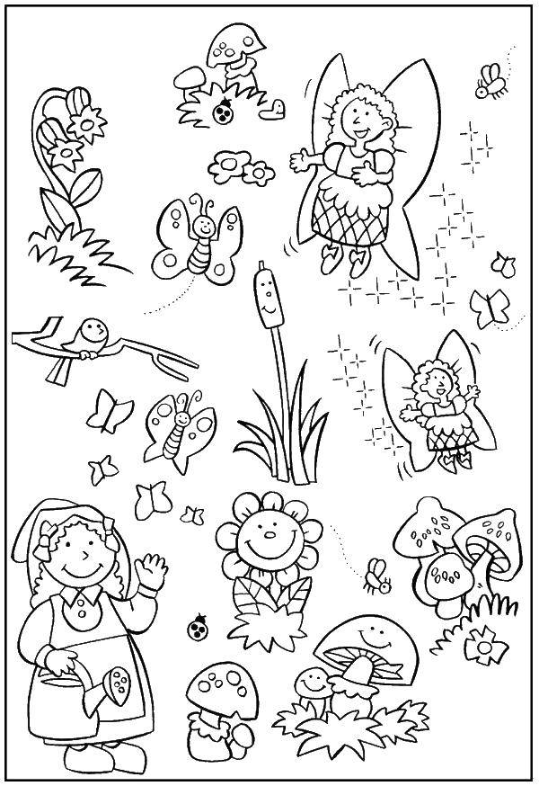 Coloring Girl, fairies and garden. Category fairies. Tags:  fairies, garden.