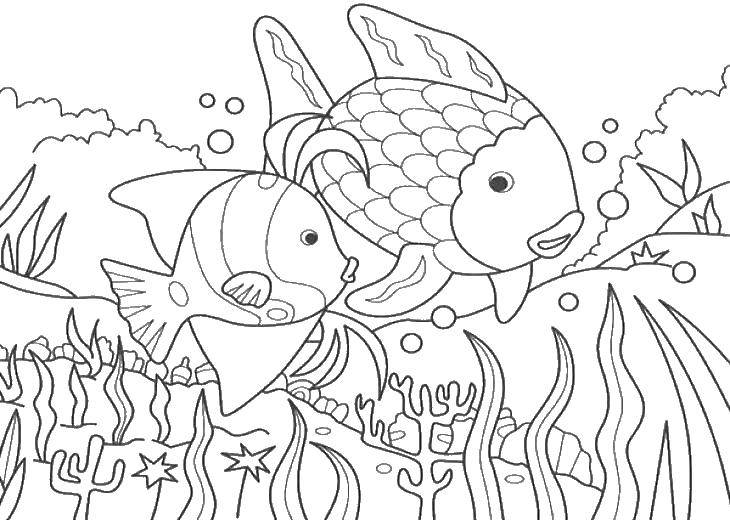 Название: Раскраска Две рыбке на дне. Категория: морское. Теги: морские жители, вода, море, рыбы, дно.