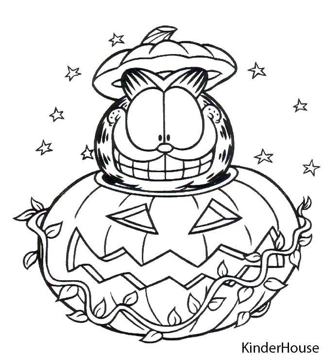 Coloring Garfield and pumpkin. Category Halloween. Tags:  Halloween, pumpkin, Garfield.