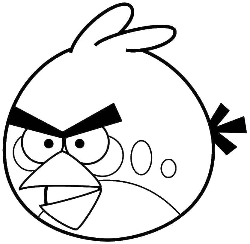 Coloring Red bird angry birds. Category Birds. Tags:  the red bird angry birds.
