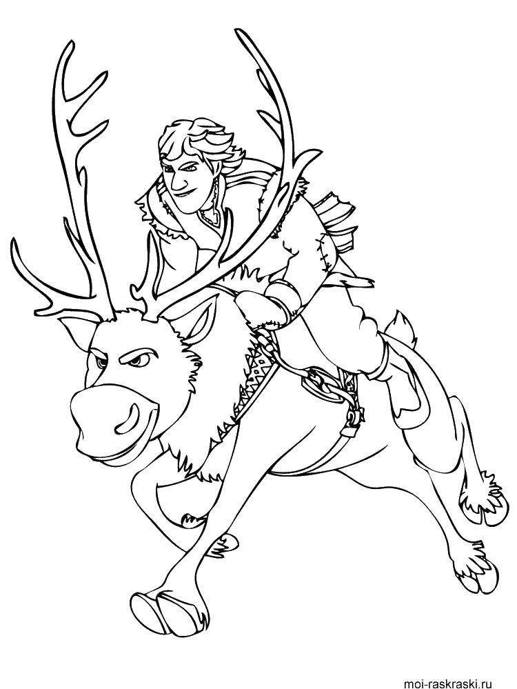 Coloring Kristoff on Sven. Category coloring cold heart. Tags:  Disney, Elsa, frozen, Princess.