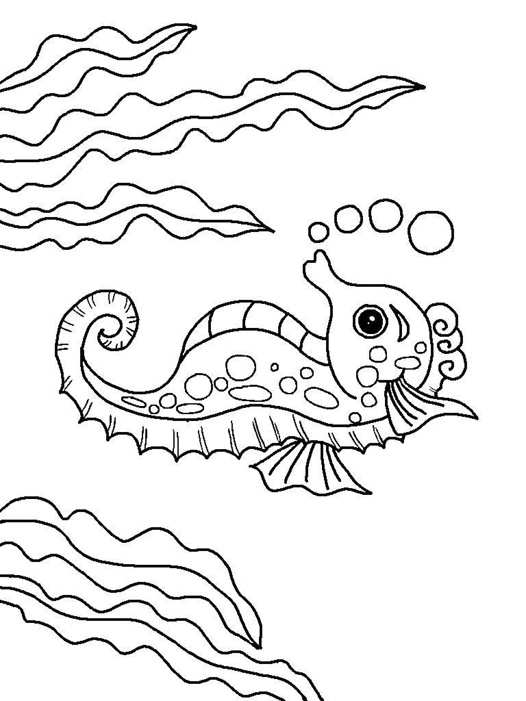 Название: Раскраска Морской конек в воде. Категория: морское. Теги: морские жители, вода, море, морской конек.