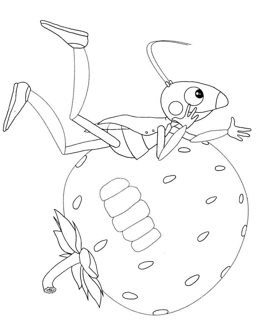 Название: Раскраска Муравьишка на ягодке. Категория: Лунтик. Теги: Персонаж из мультфильма.