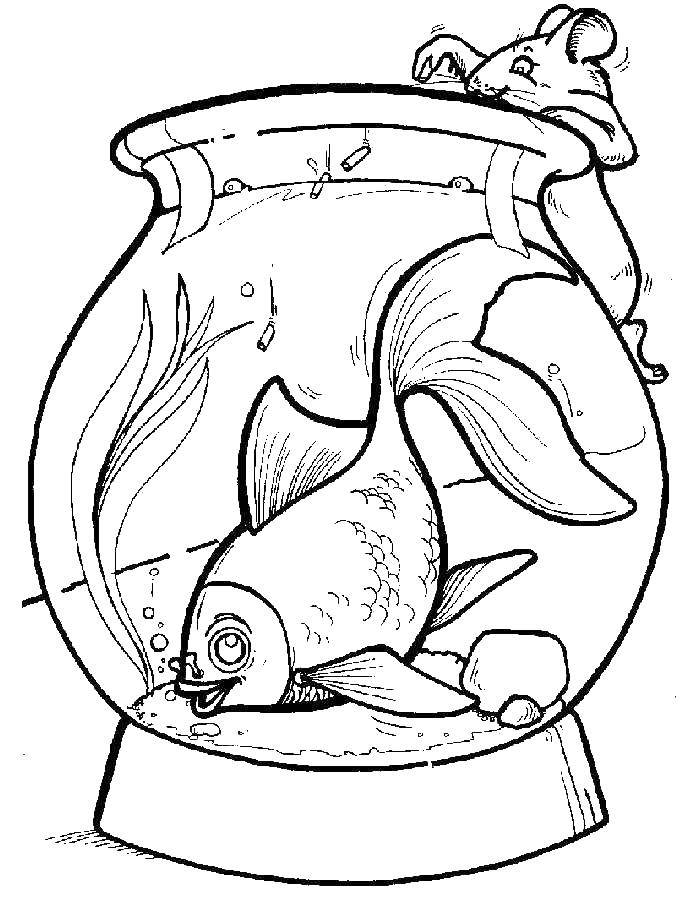 Название: Раскраска Мышка хочет рыбку. Категория: рыбы. Теги: Подводный мир, рыба.