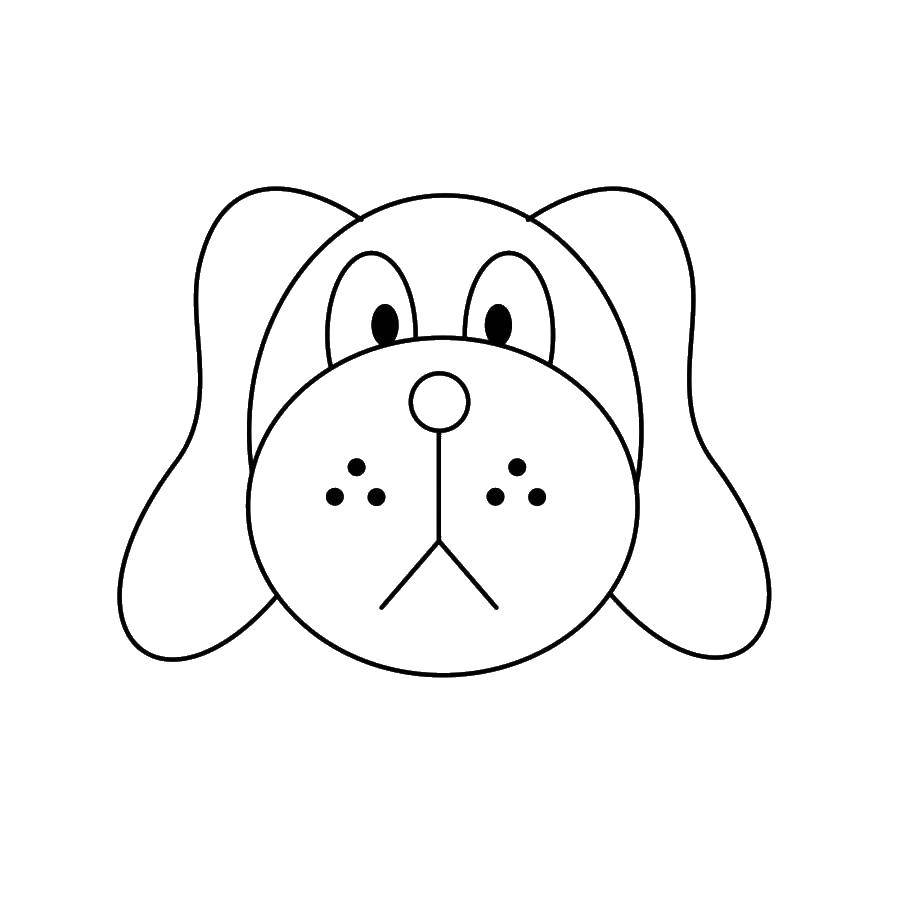 Coloring Hurt the dog. Category simple coloring. Tags:  Animals, dog.