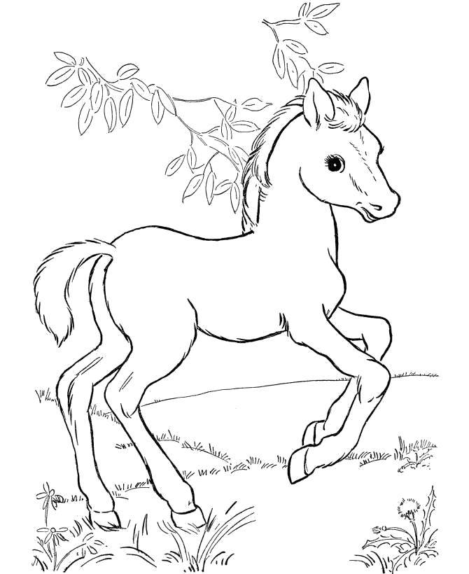 Coloring Very lovely horse. Category Coloring pages for kids. Tags:  Animals, horse.