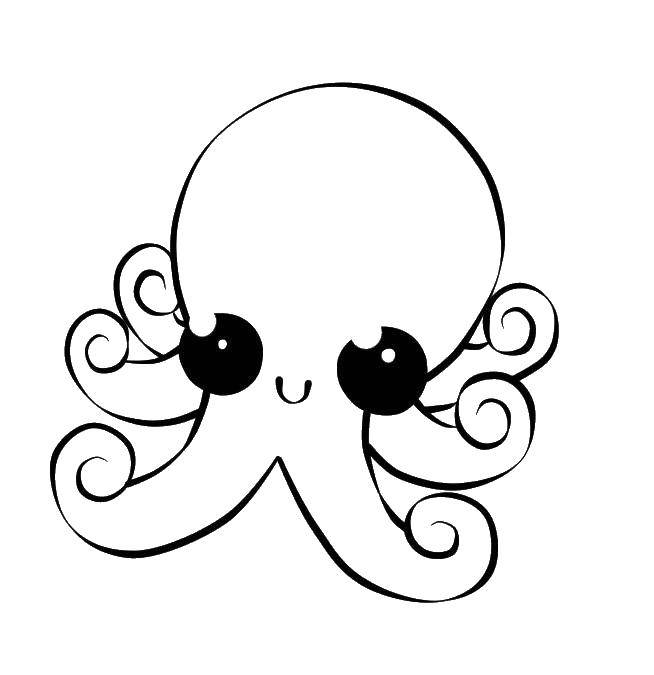 Название: Раскраска Осьминожка с большими глазами. Категория: морское. Теги: морское, осьминог.