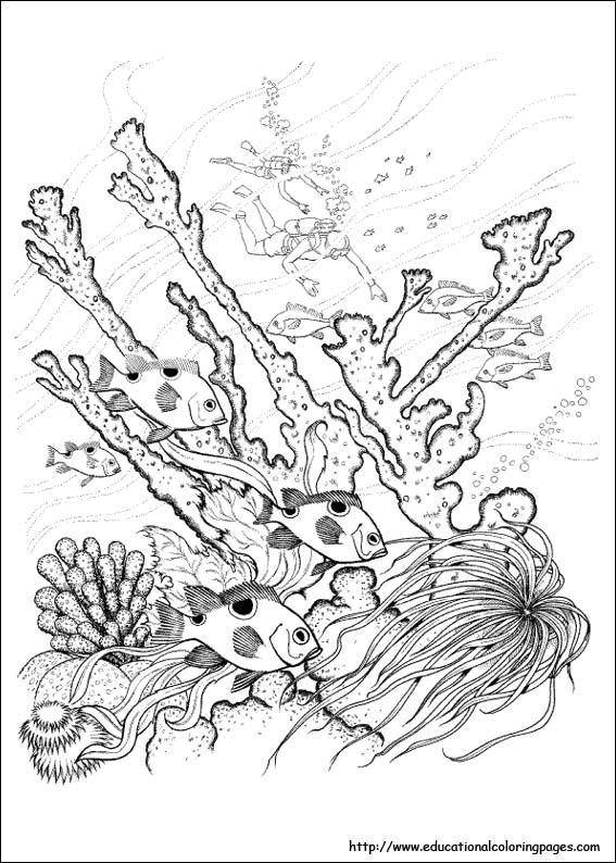 Название: Раскраска Подводное царство. Категория: морское дно. Теги: морское дно, подводное царство, рыбы.