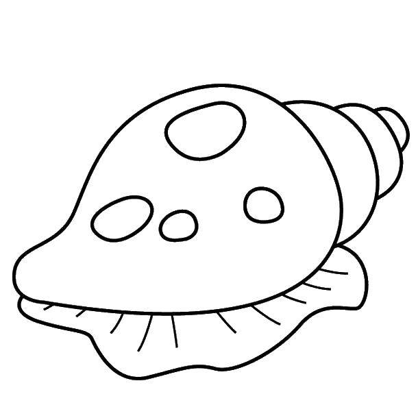 Coloring Shell. Category marine. Tags:  conch, sea, marine.