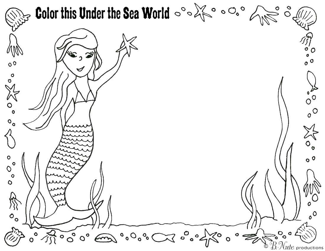 Coloring Frame mermaid. Category frame. Tags:  frame, mermaid.