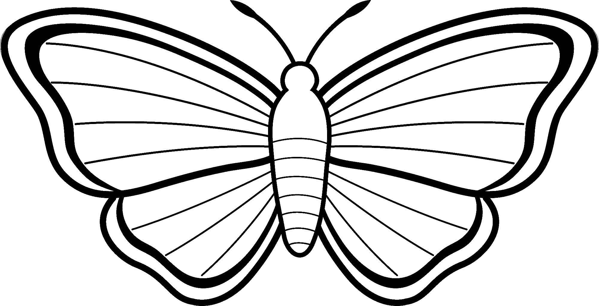Название: Раскраска Раскрась красивую бабочку. Категория: бабочки. Теги: Бабочка.
