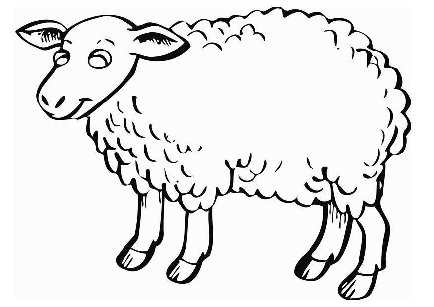 Coloring Figure lamb. Category Pets allowed. Tags:  RAM.