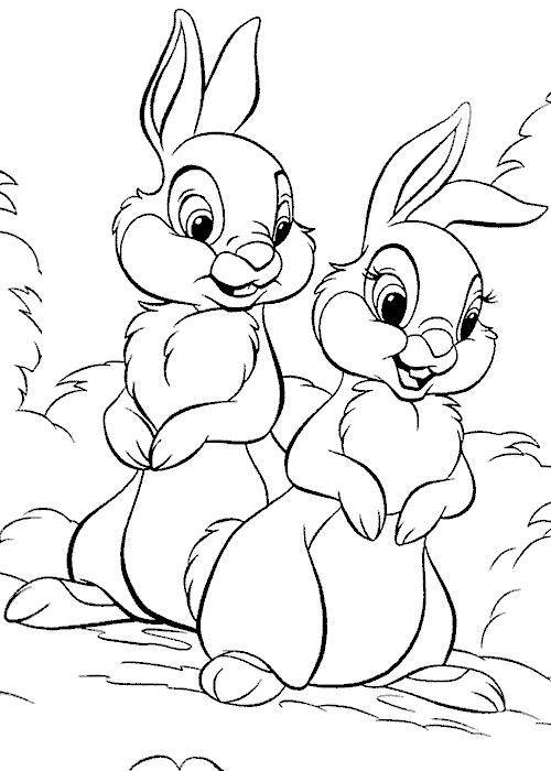 Название: Раскраска Рисунок зайчиков. Категория: домашние животные. Теги: заяц, кролик.